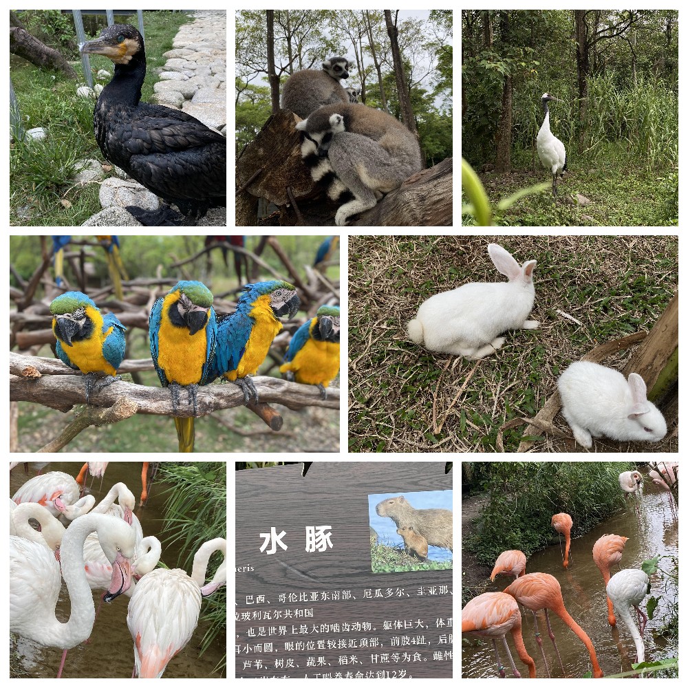厚積薄發(fā)，蓄力前行：大手牽小手，共圓實(shí)佳夢